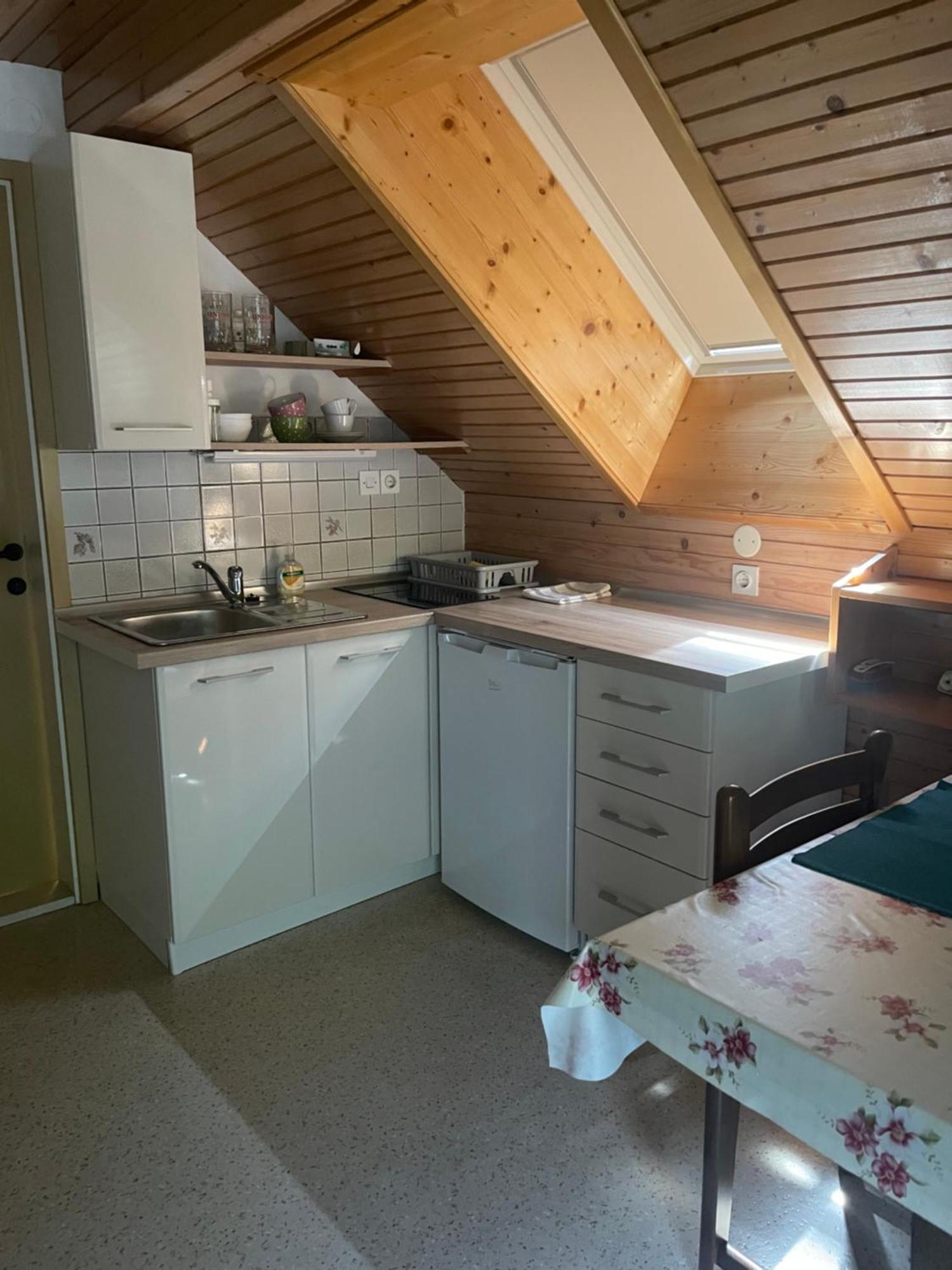 Apartment Cvetek Janez ボーヒニ エクステリア 写真